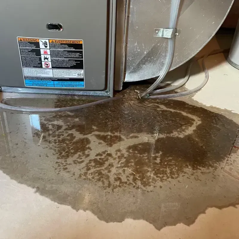 Appliance Leak Cleanup in Massanetta Springs, VA